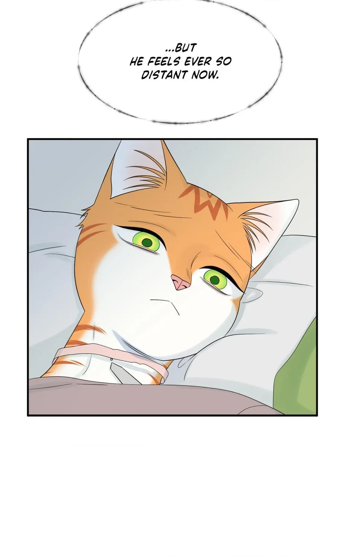 Chapter 82, page 66