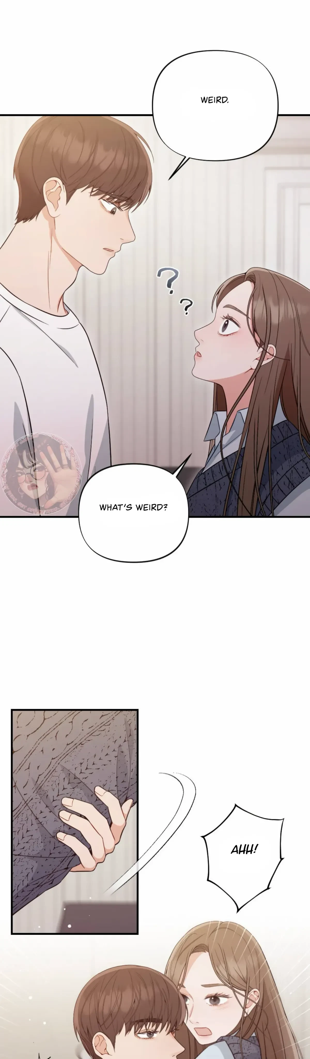 Chapter 3, page 13
