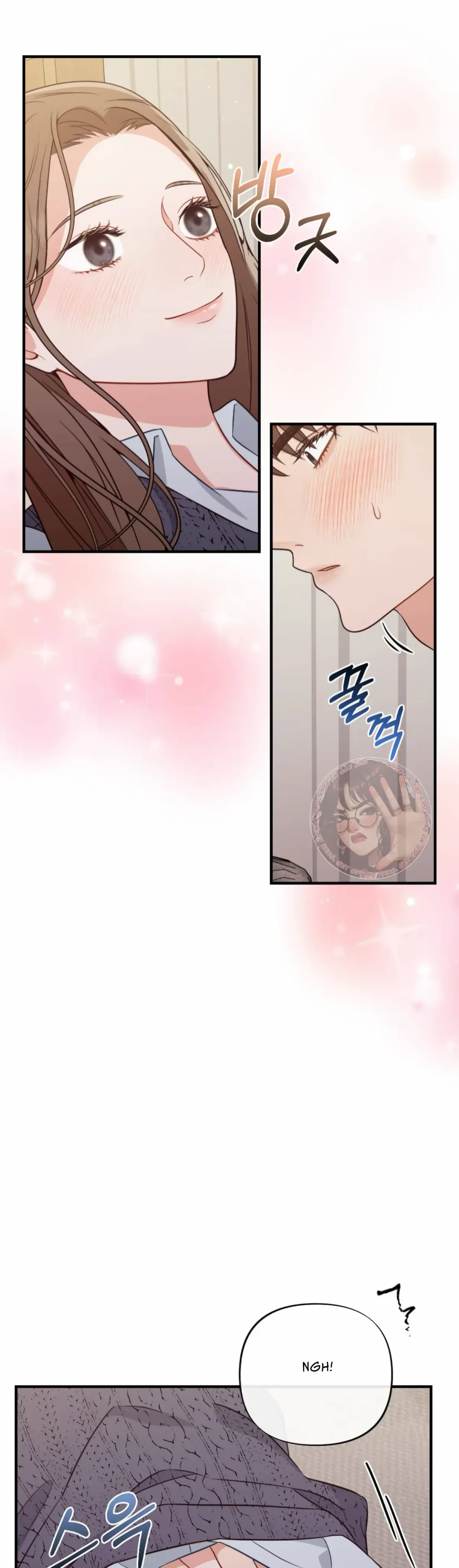 Chapter 3, page 17