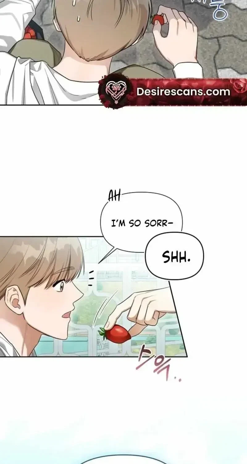 Chapter 1.2, page 53