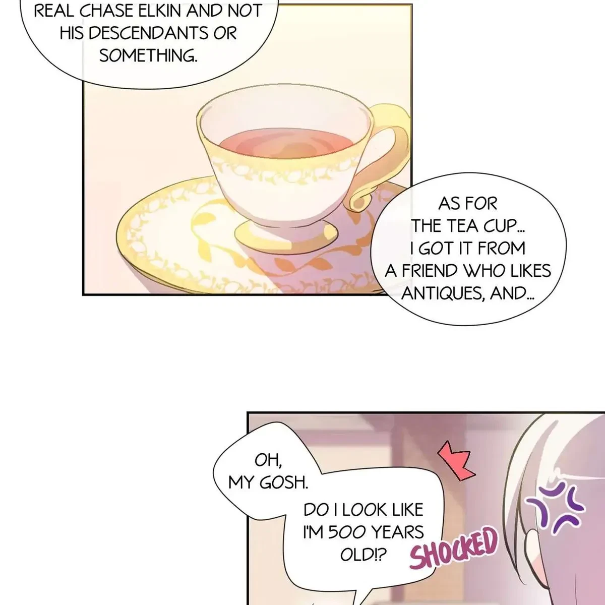 Chapter 2, page 24