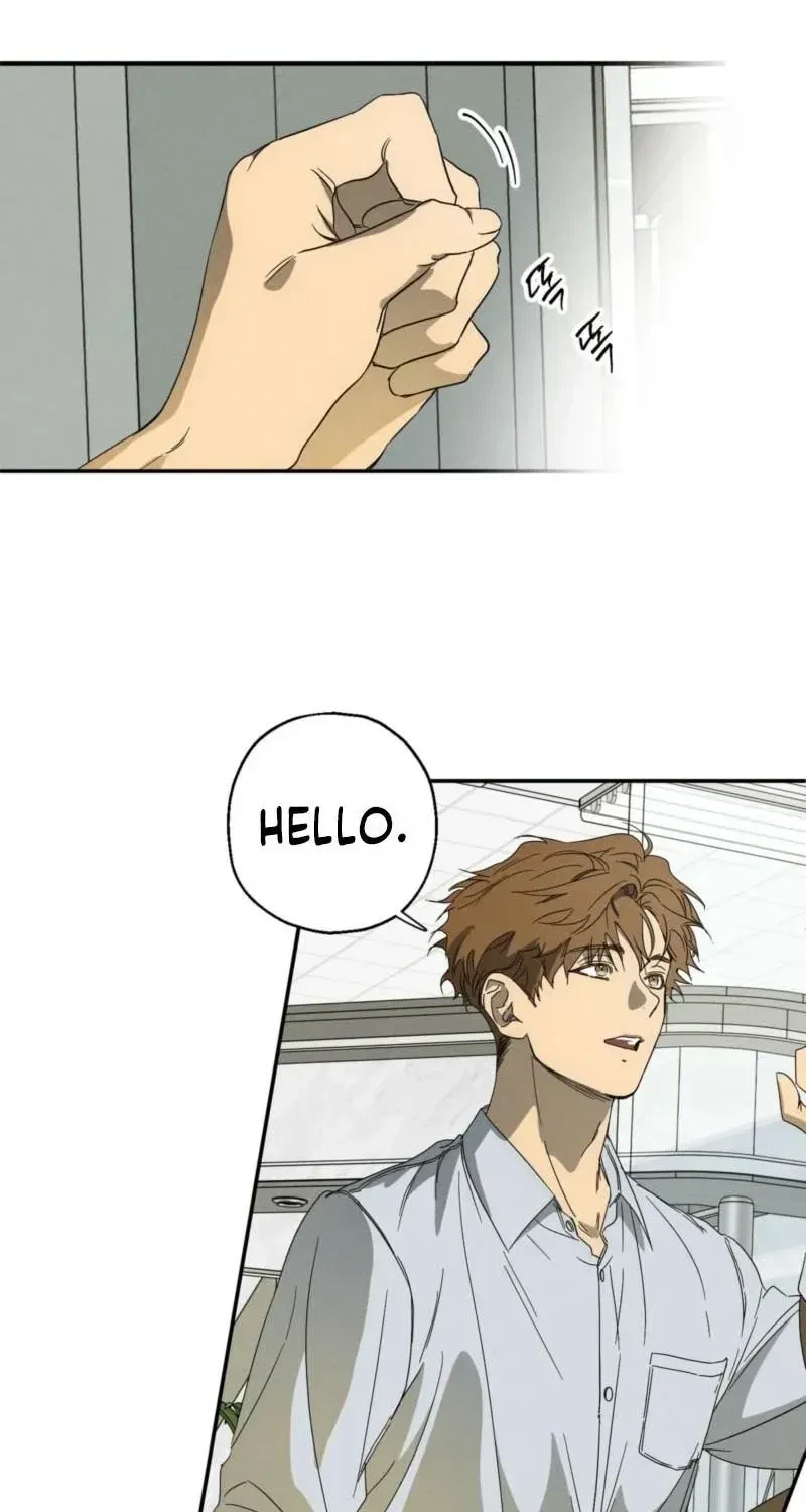 Chapter 1.1, page 17