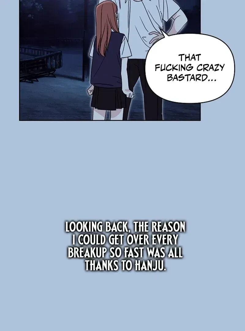 Chapter 1.1, page 95
