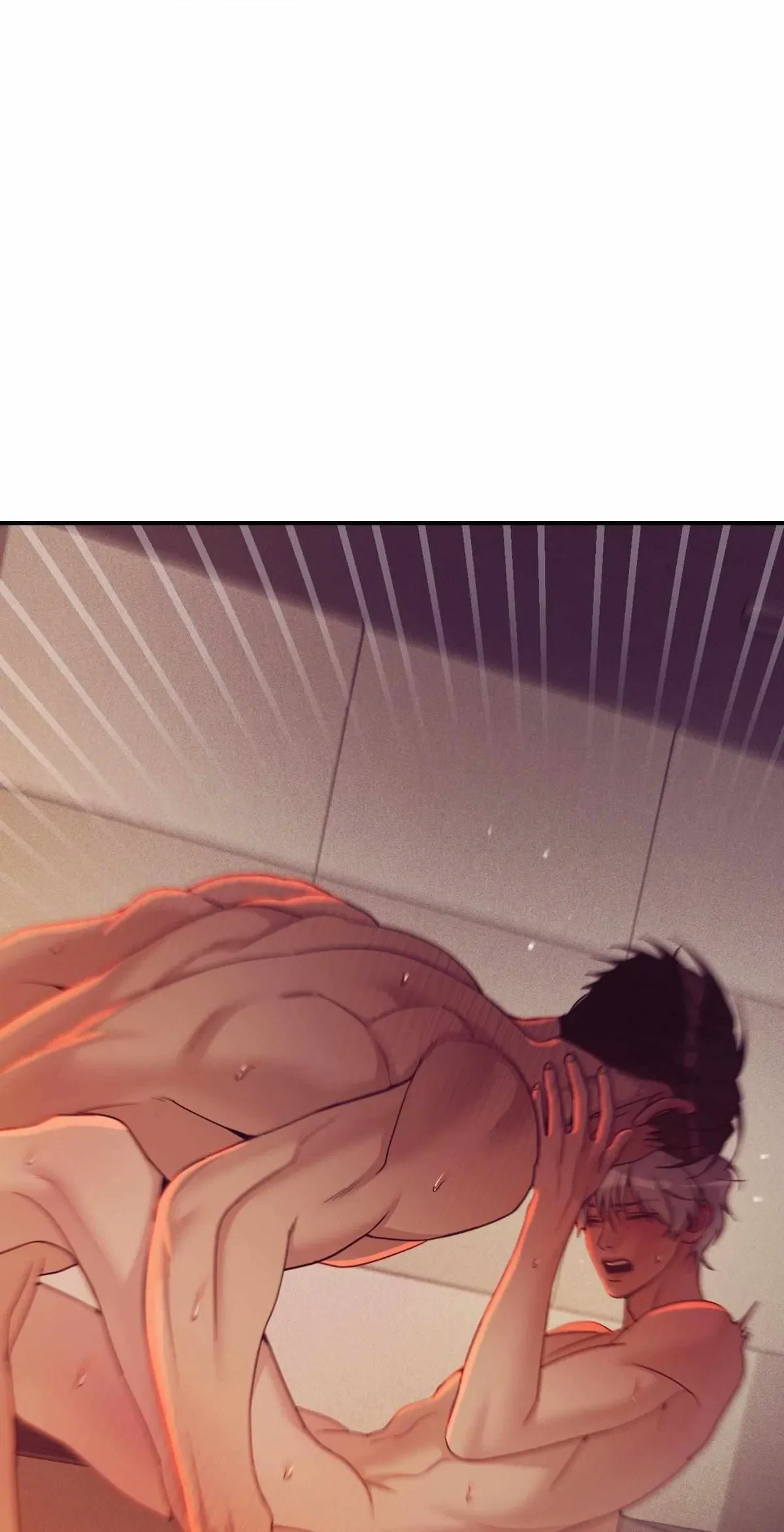 Side. : 16, page 36