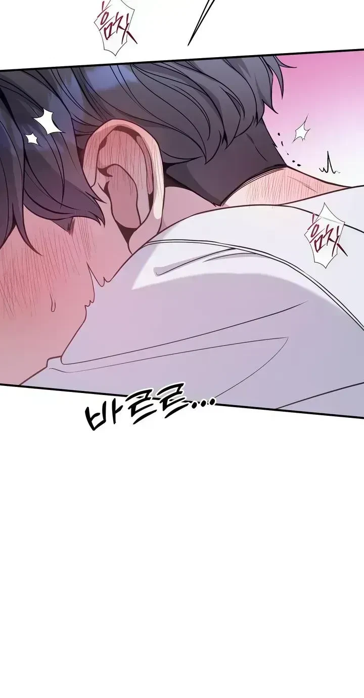Chapter 2.6, page 39
