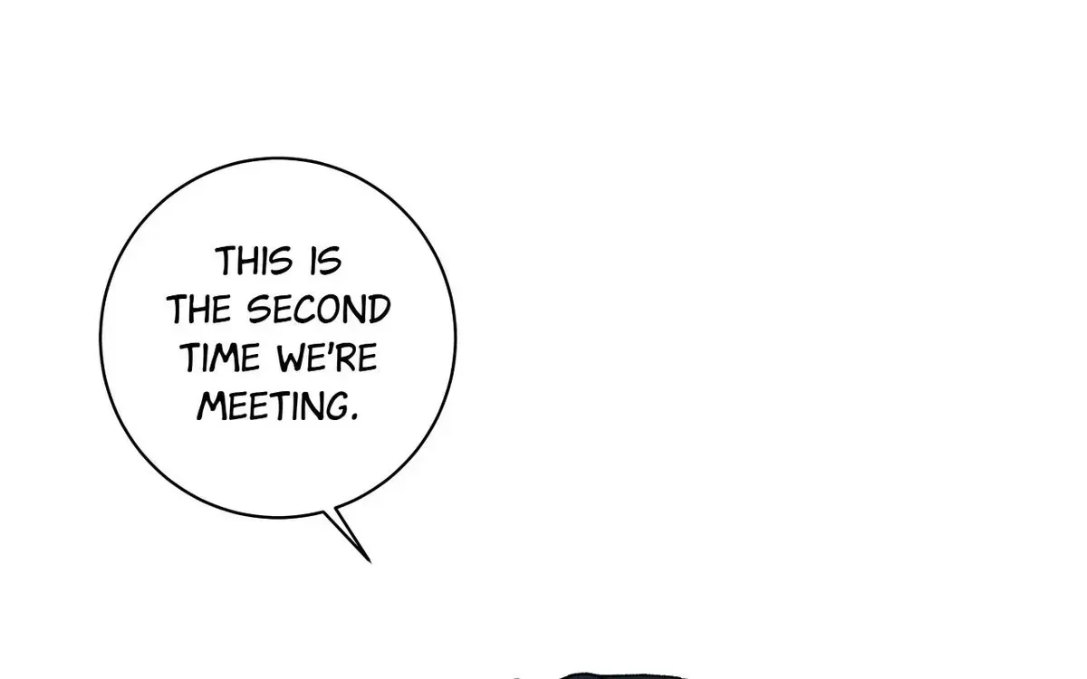 Chapter 2.1, page 19