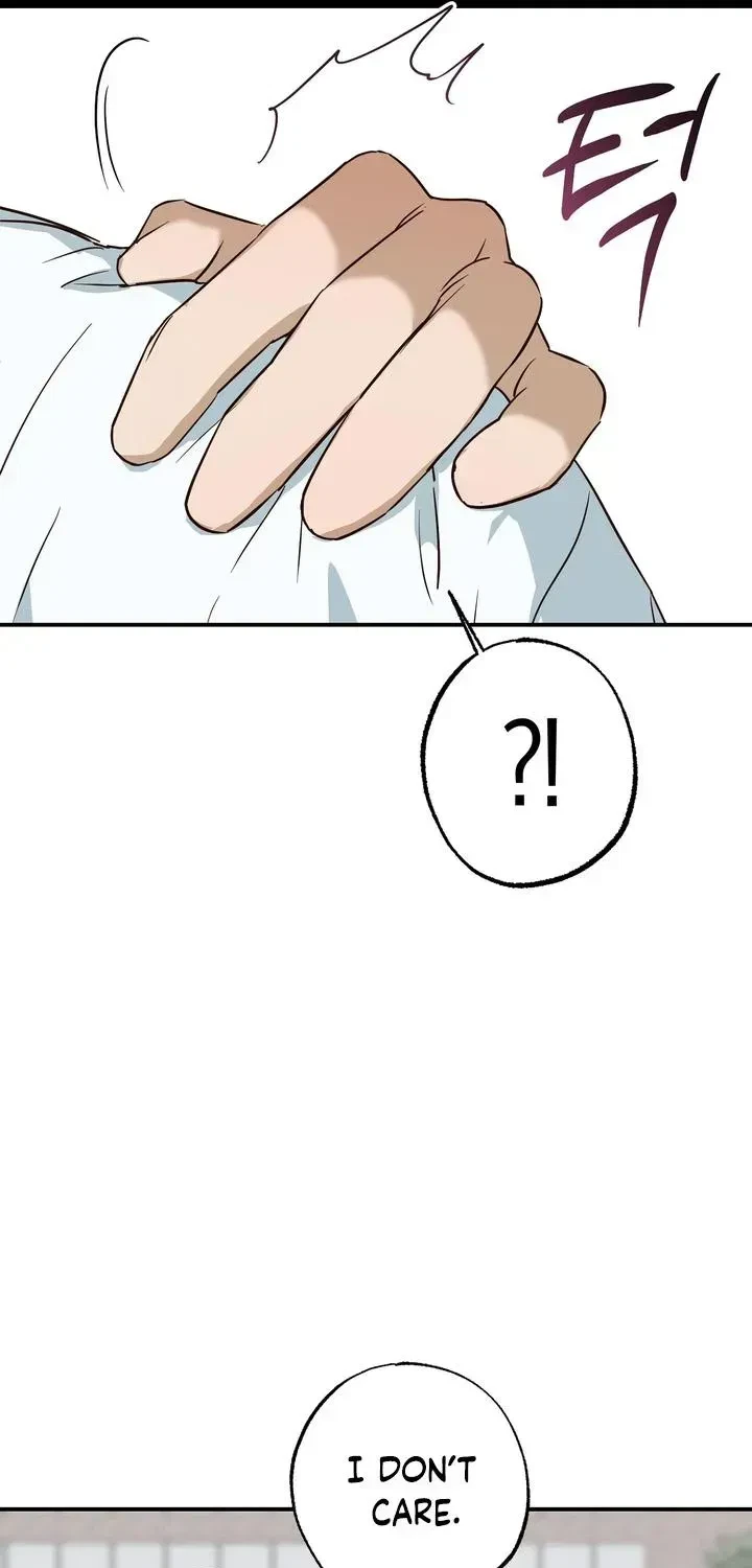 Chapter 2.1, page 52