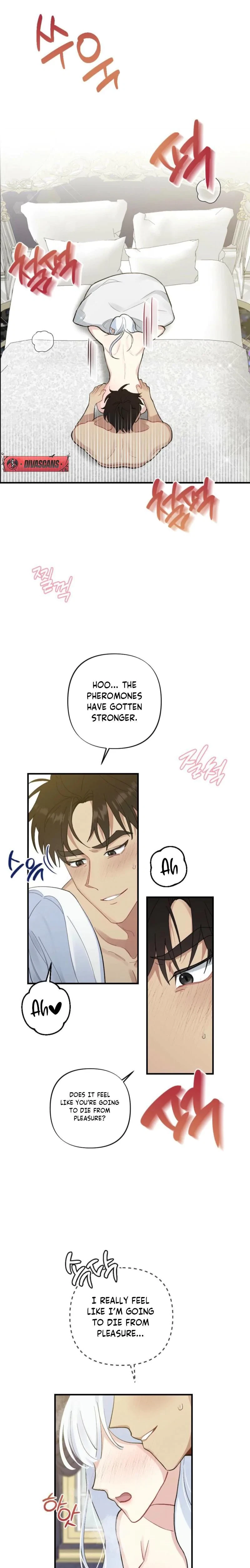 Chapter 2, page 16
