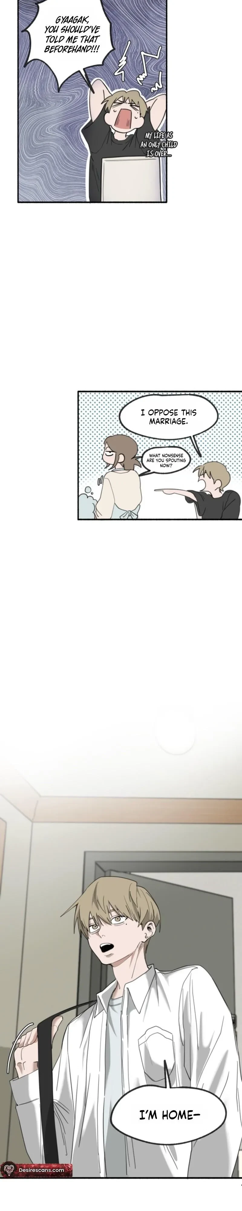 Preference Correction Chapter 2, page 5