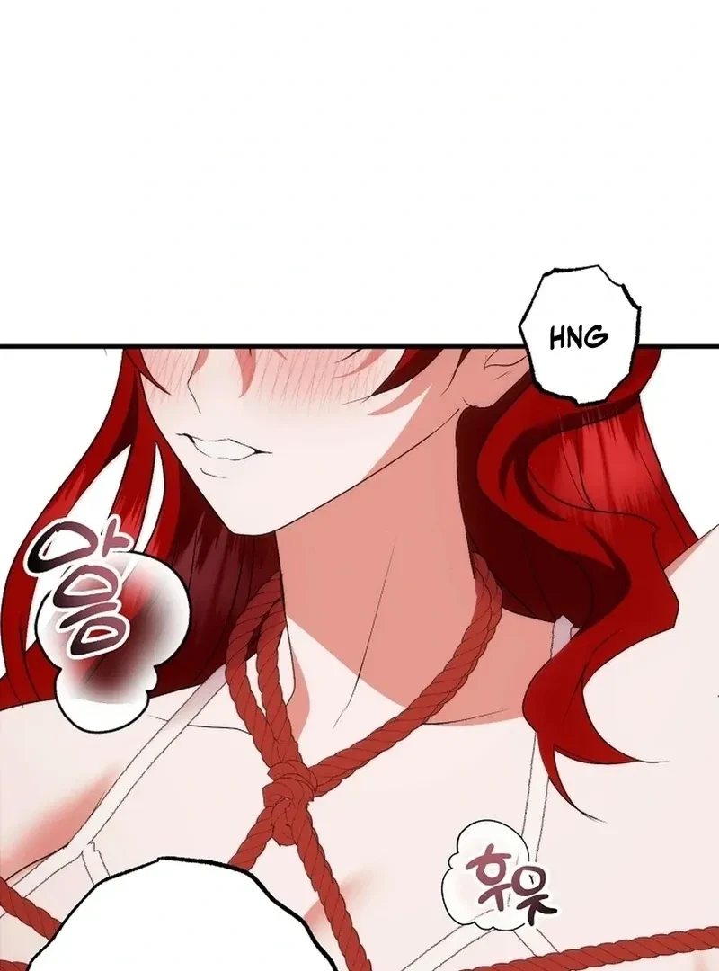 Chapter 3, page 95