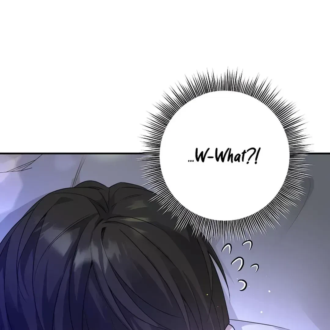 Chapter 2.6, page 123