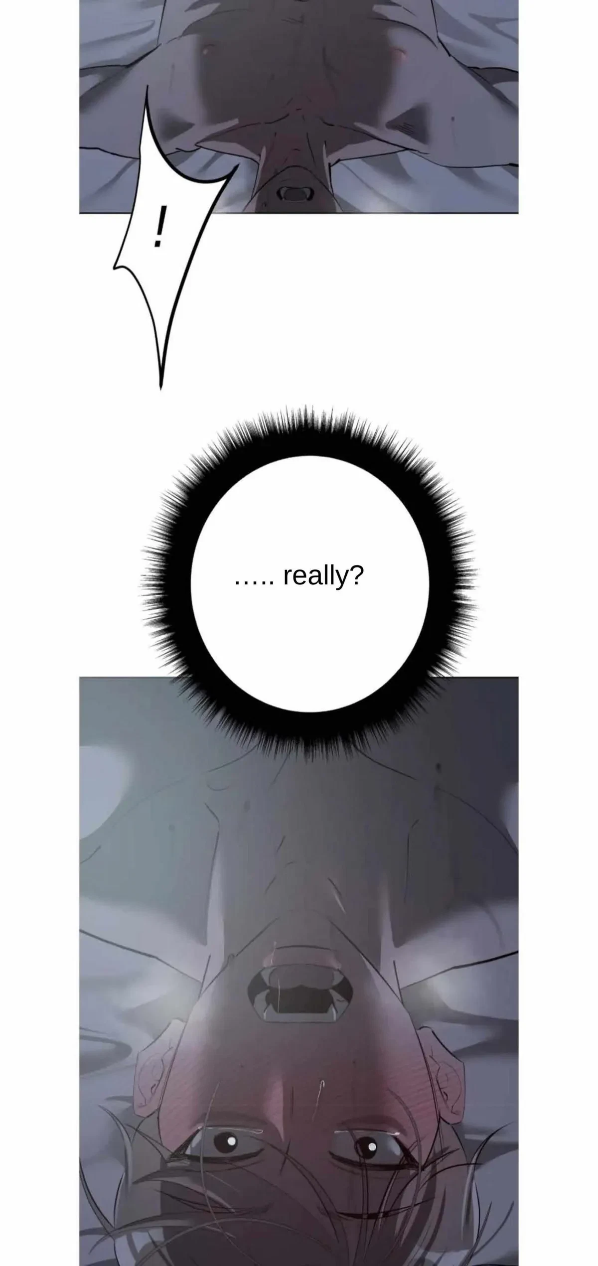 Chapter 3, page 13