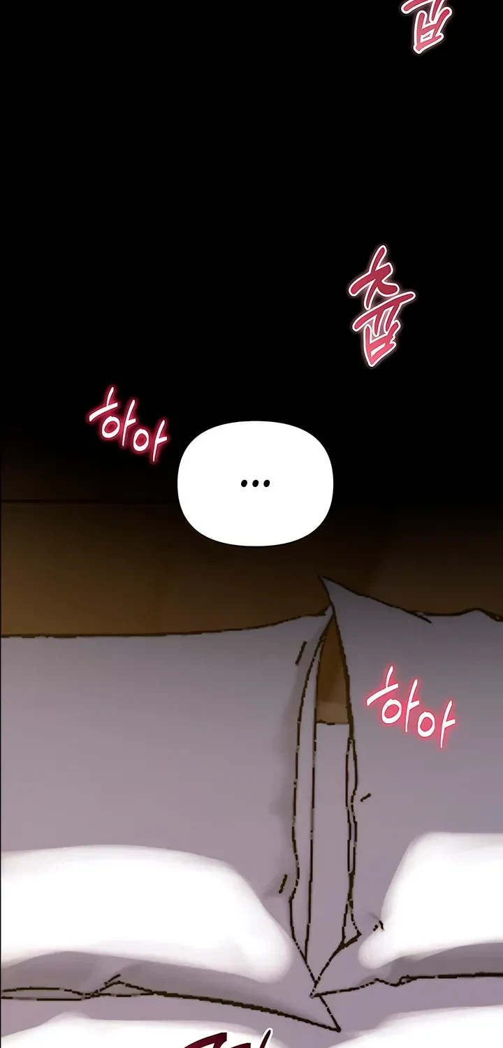 Chapter 1, page 19