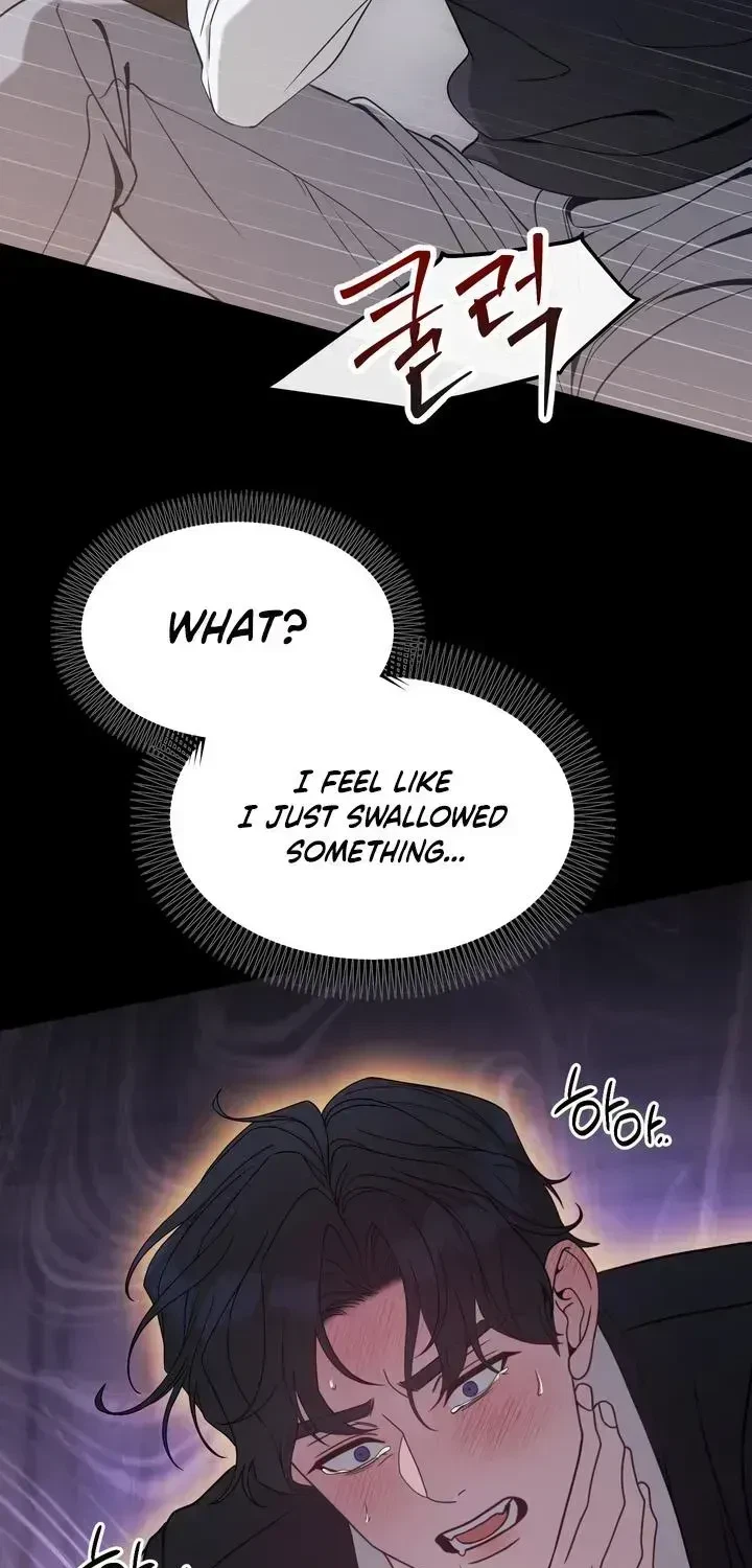 Chapter 3.3, page 30