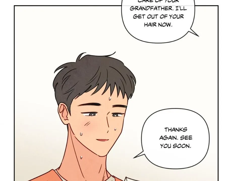 Chapter 3, page 102