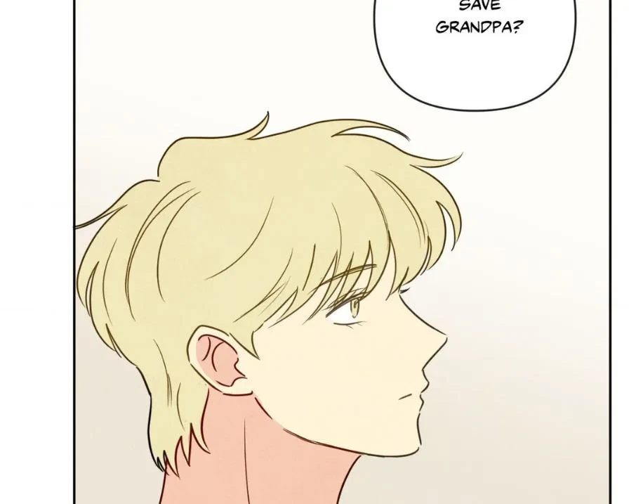 Chapter 3, page 146