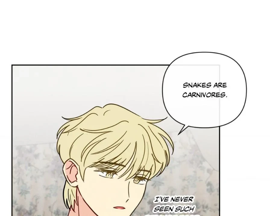 Chapter 3, page 40