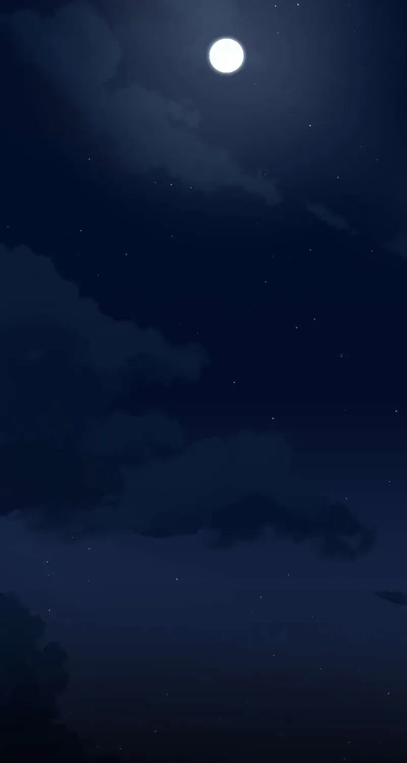 Chapter 2, page 13