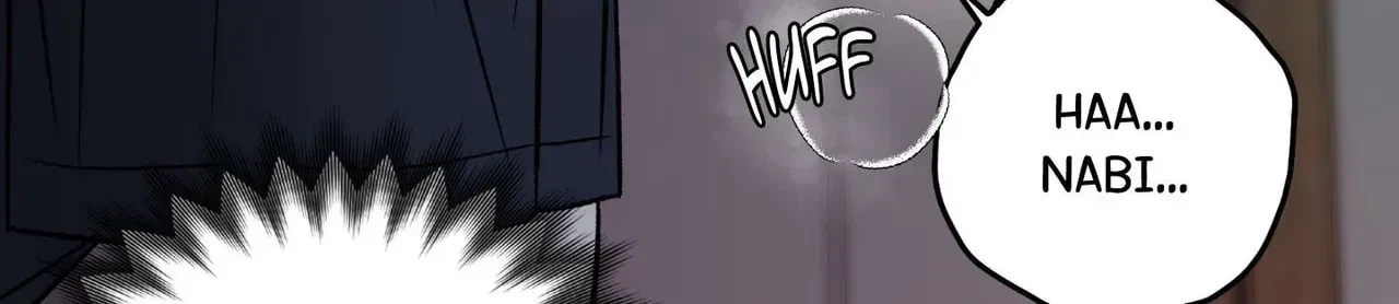 Chapter 5, page 96