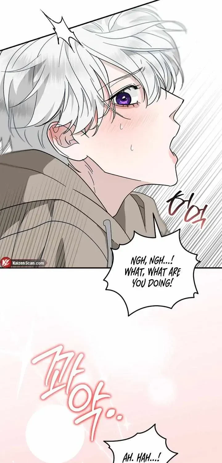 Chapter 2.1, page 34