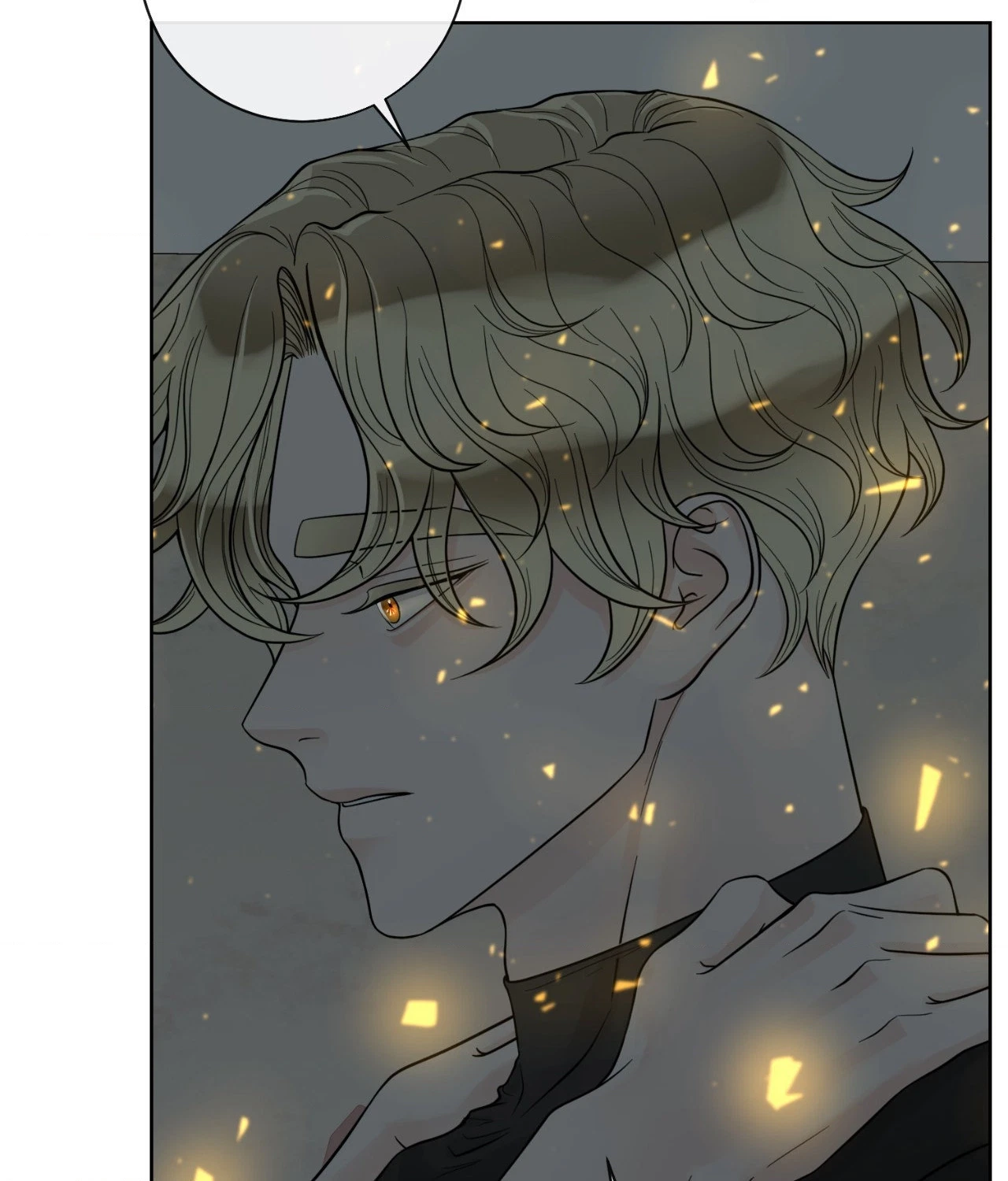 The Alpha's Mate Chapter 55, page 81