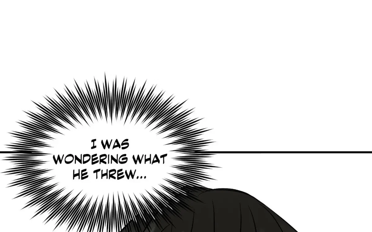 Chapter 3, page 95