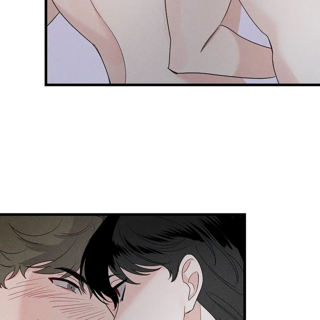 Chapter 3, page 100