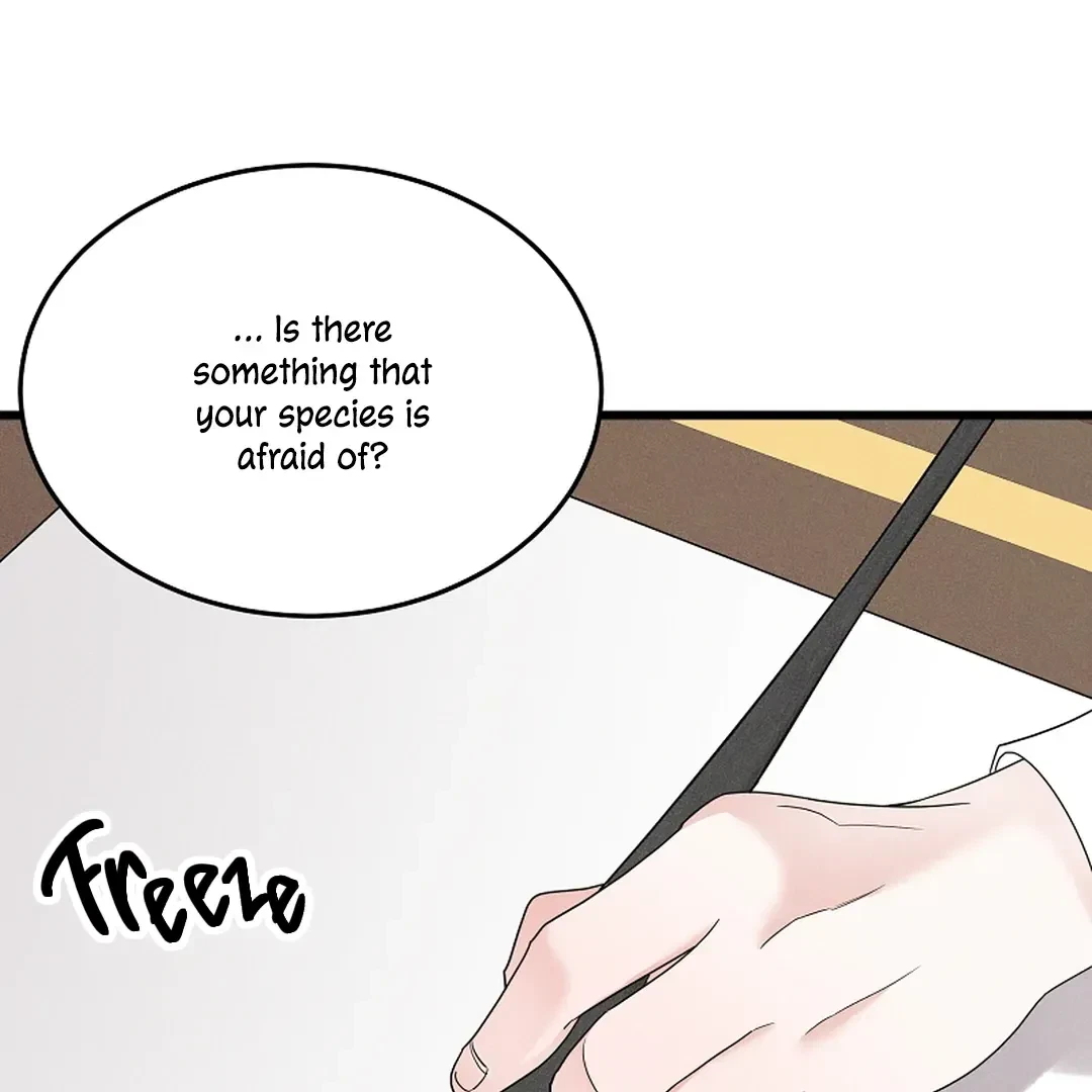 Chapter 3, page 64