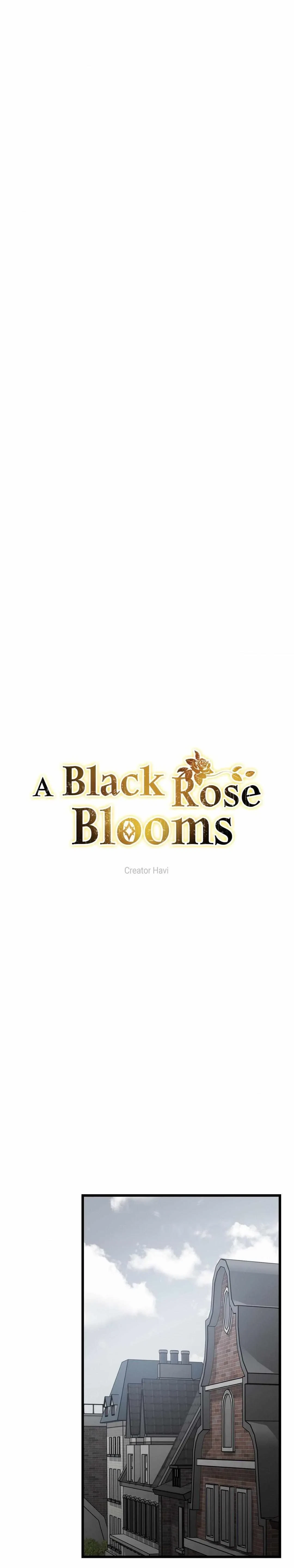 A Black Rose Blooms Chapter 72, page 16
