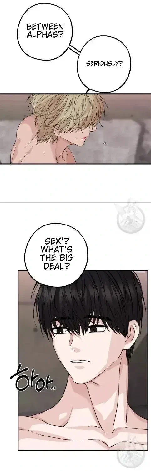 Chapter 1.1, page 4