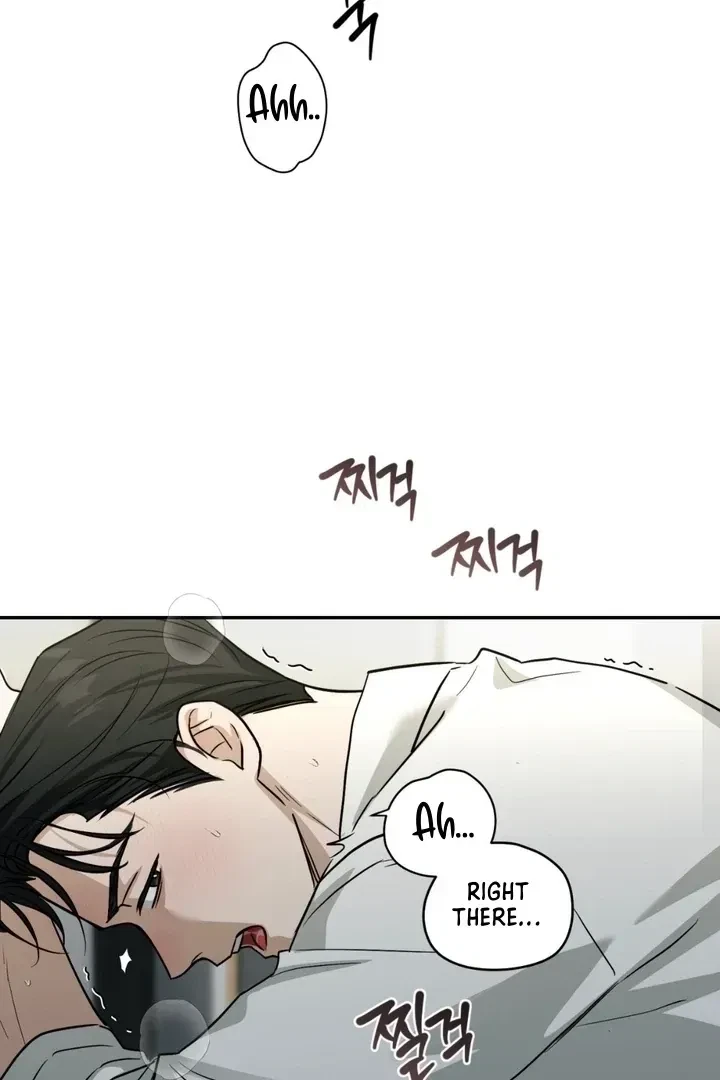 Chapter 1, page 19