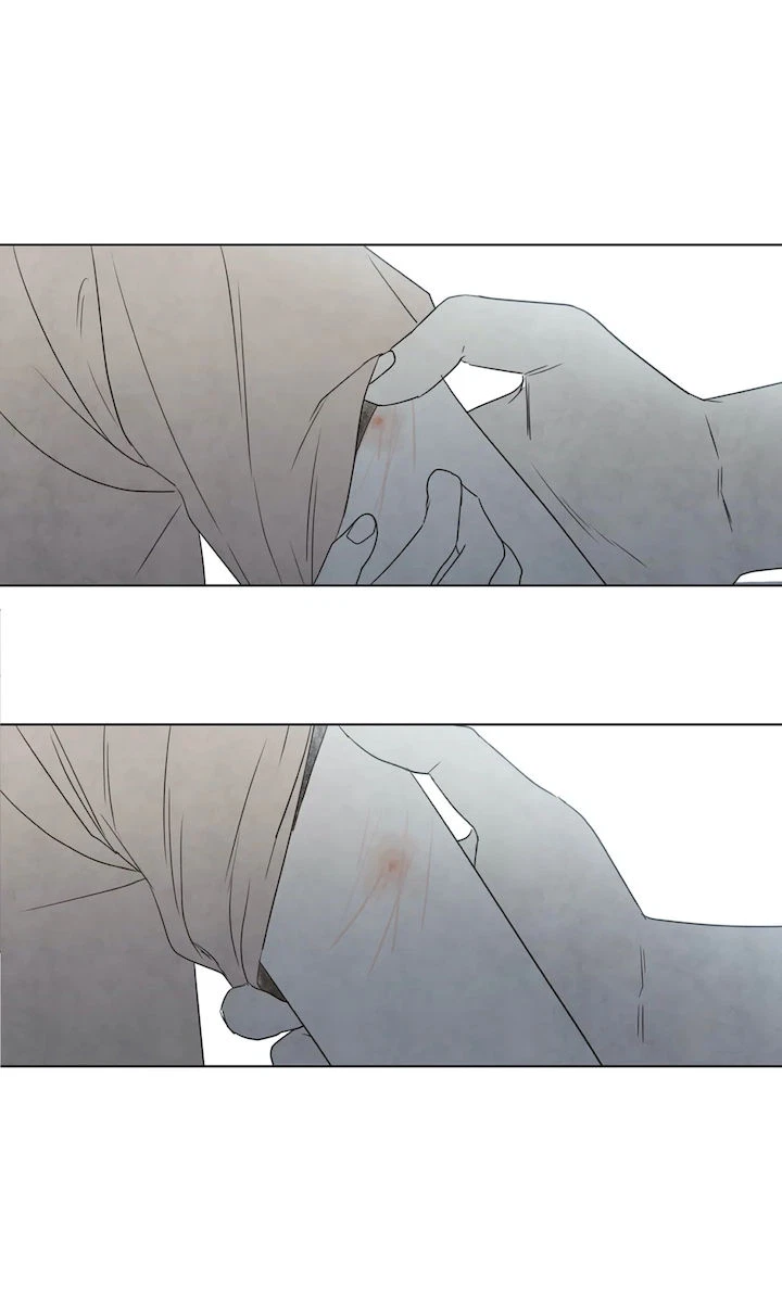 Chapter 2, page 27