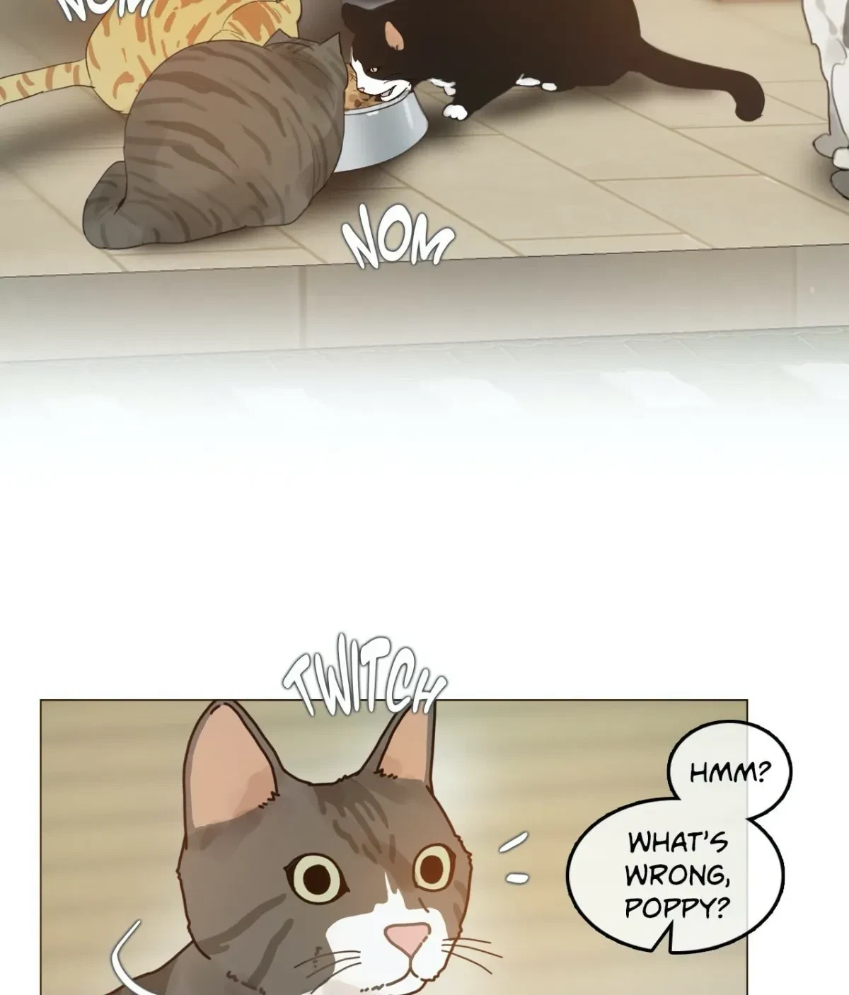 Chapter 1.3, page 5