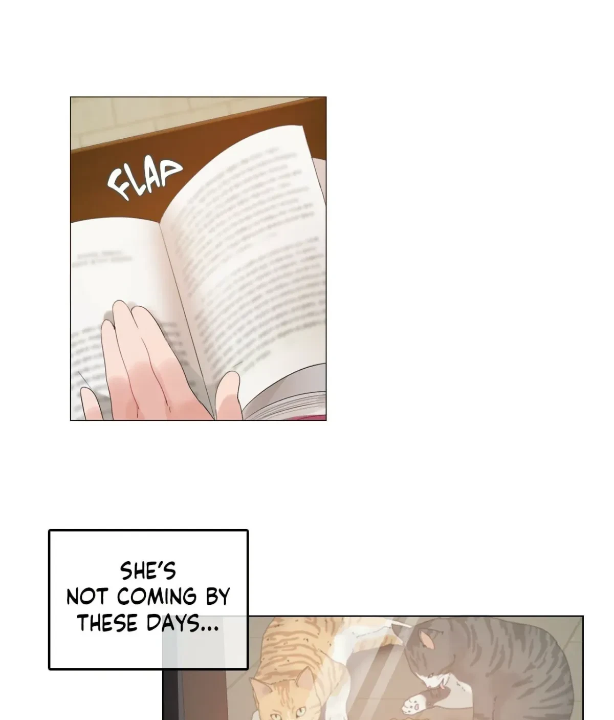 Chapter 1.3, page 55