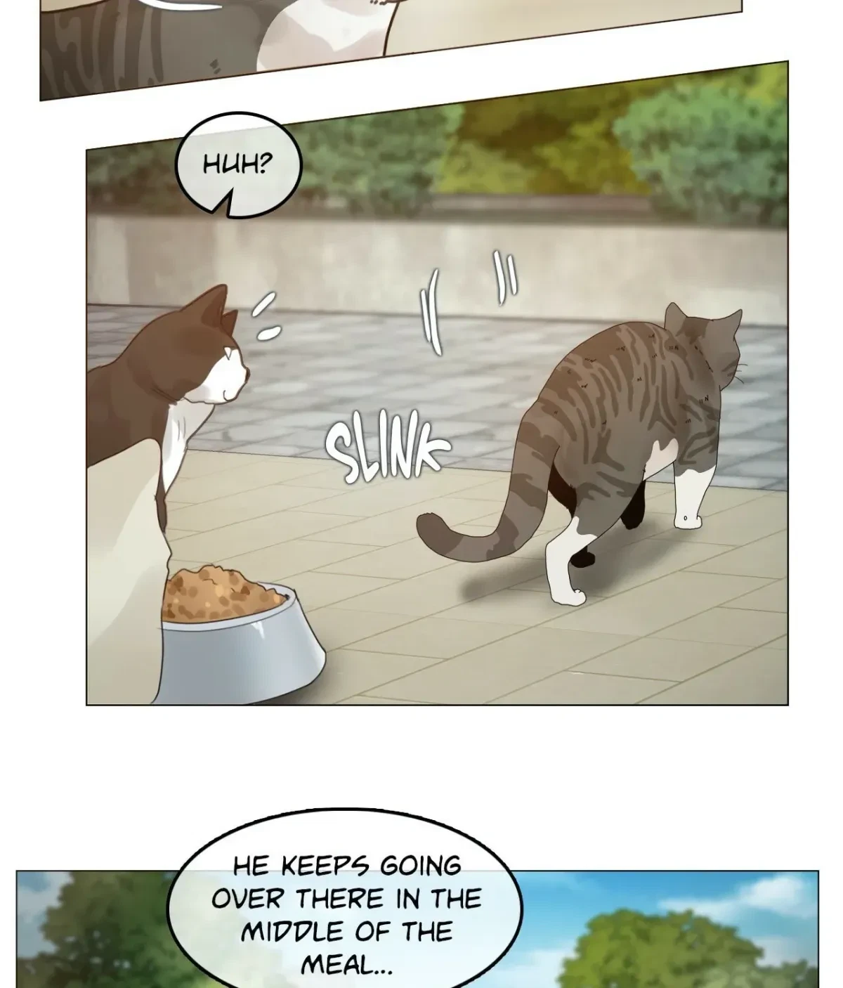 Chapter 1.3, page 6