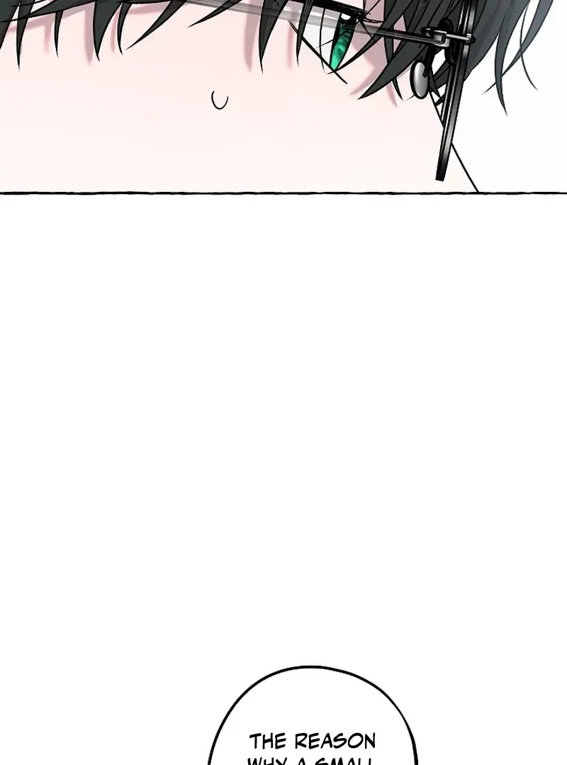 Chapter 2, page 25