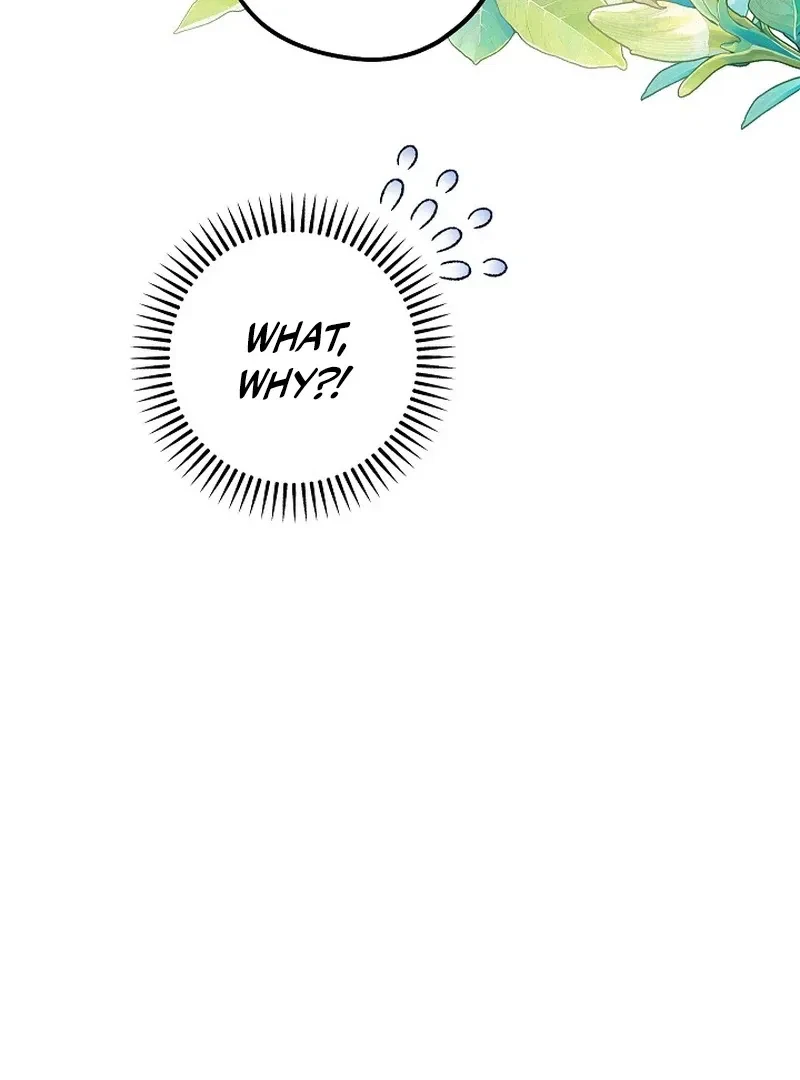 Chapter 2, page 31