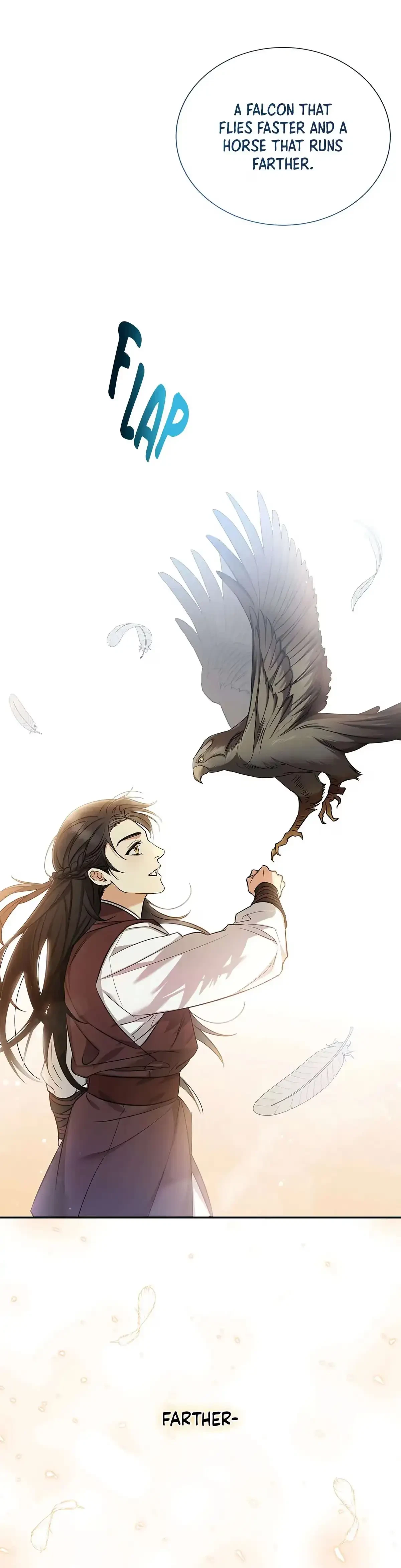 Chapter 1, page 29
