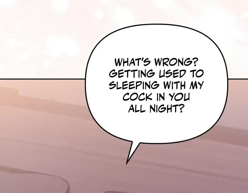Chapter 1.1, page 13