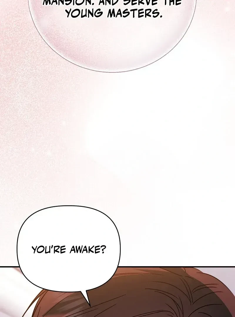 Chapter 1.1, page 6