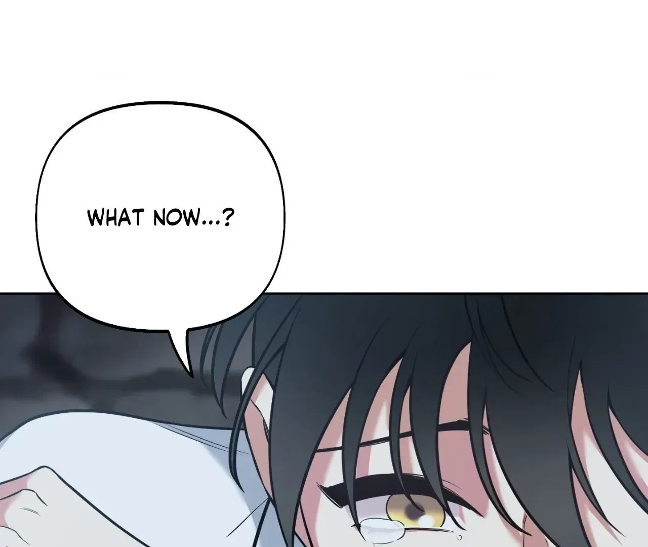Chapter 8, page 108