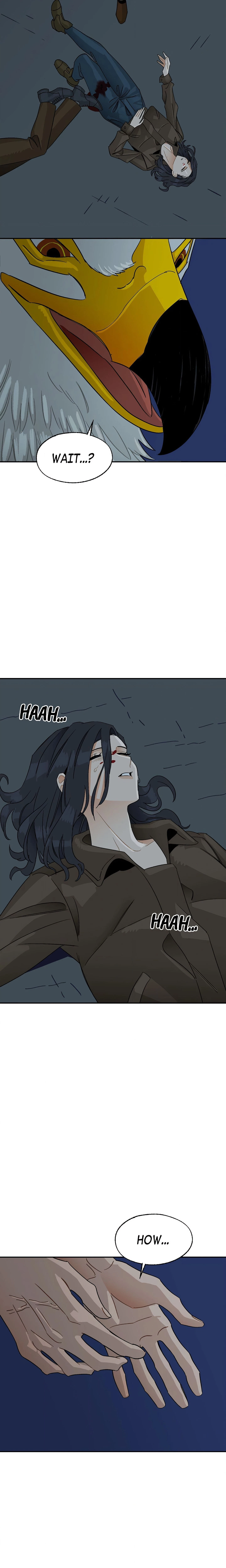 Chapter 1, page 29