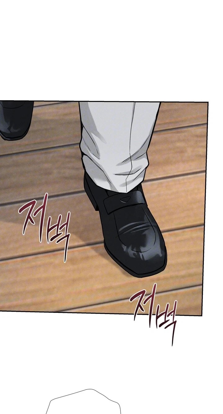 Chapter 5, page 66