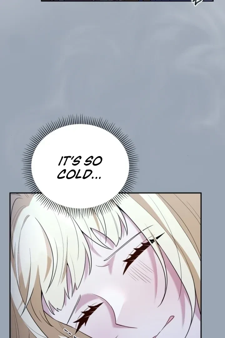 Chapter 2, page 26
