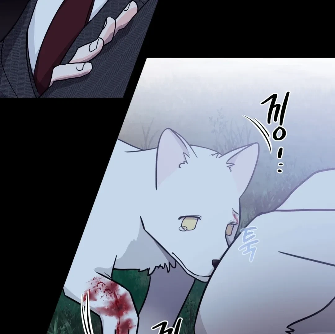 Chapter 1, page 48