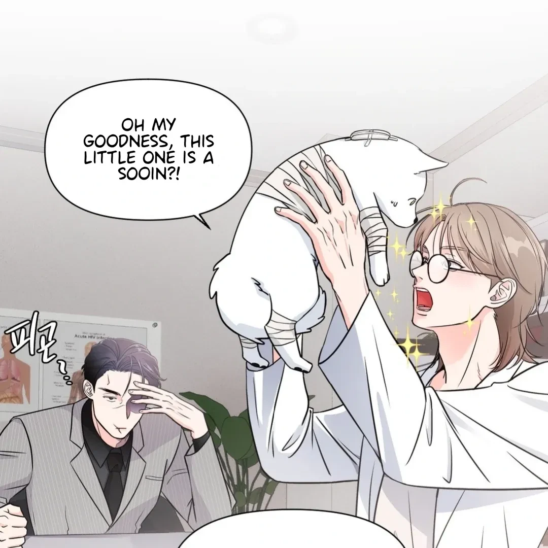 Chapter 1, page 72