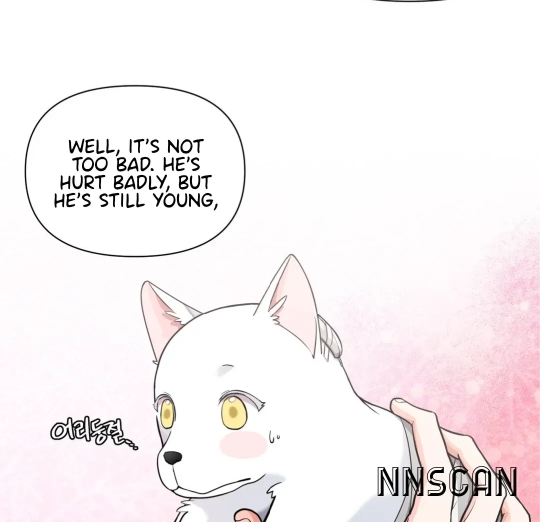 Chapter 1, page 74