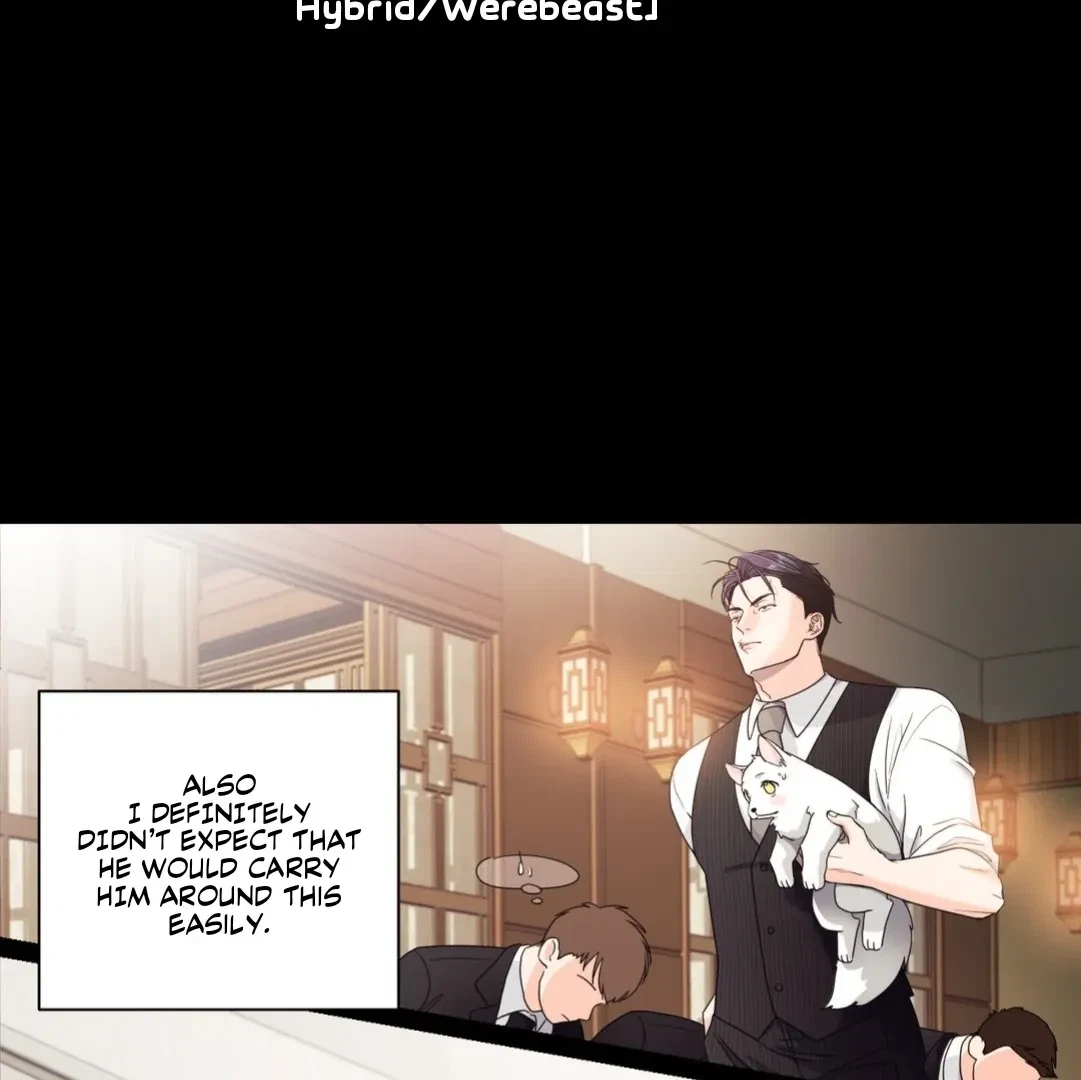 Chapter 1, page 8