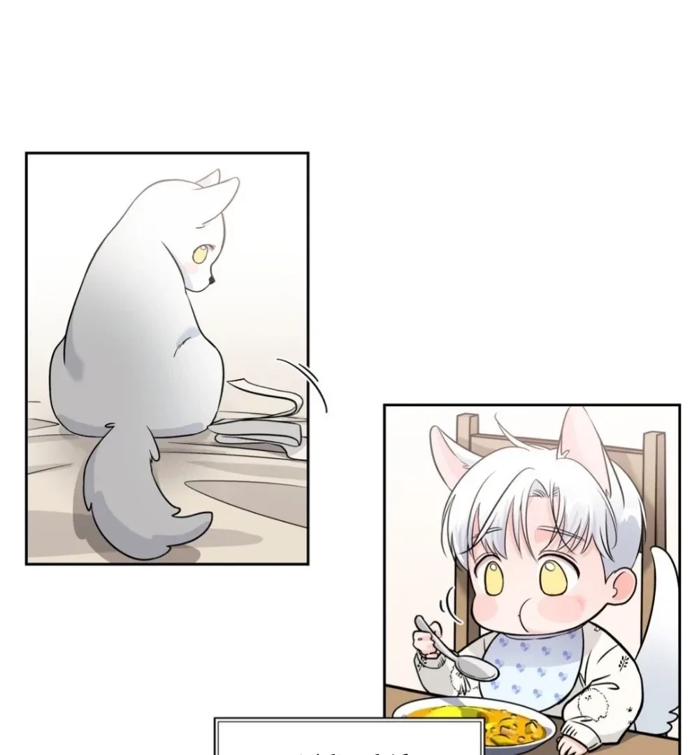 Chapter 1, page 85