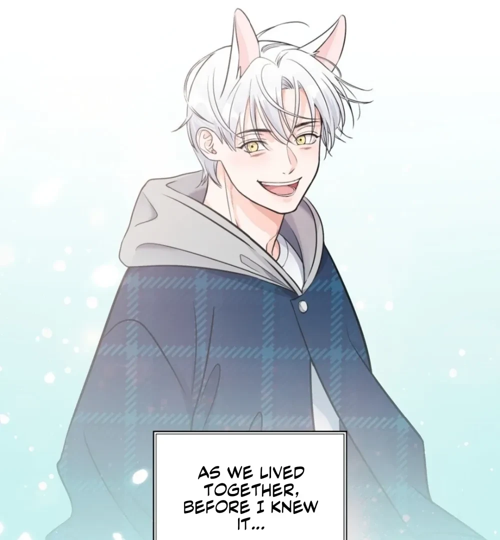 Chapter 1, page 87